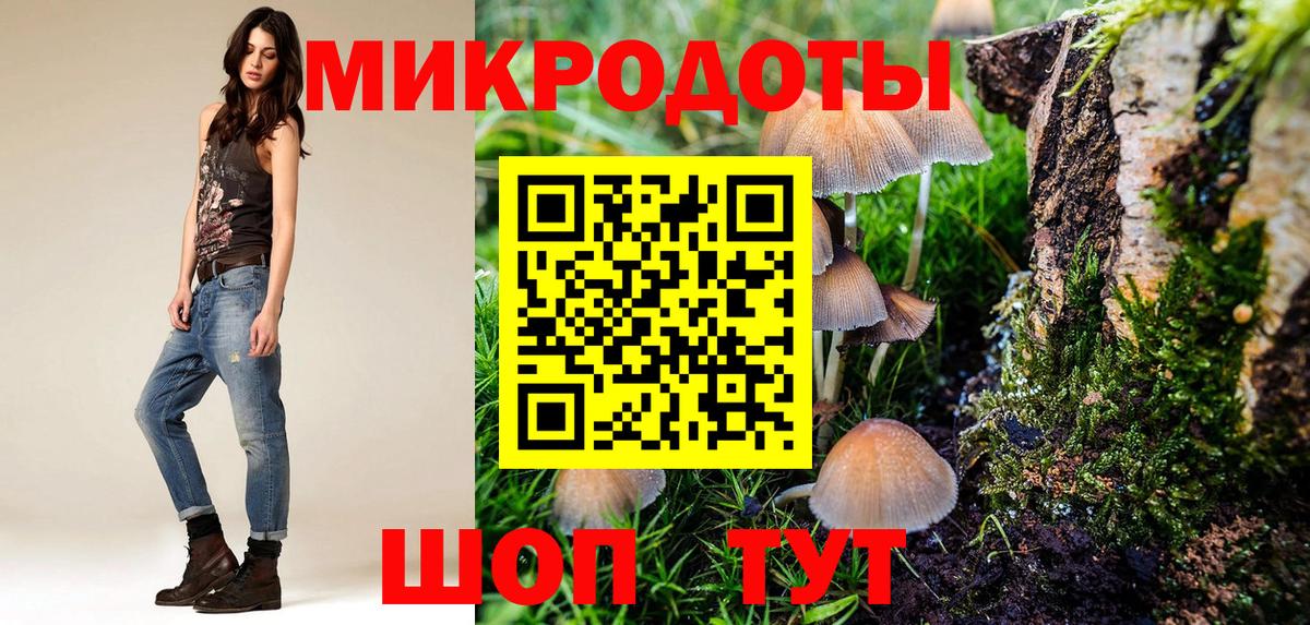 Красногорск  Псилоцибиновые грибы Cubensis  Вход с VPN 
